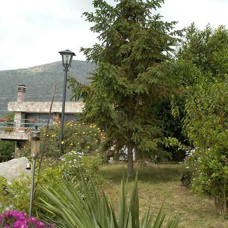 B&B La Vecchia Scuola Sonnino Kültér fotó