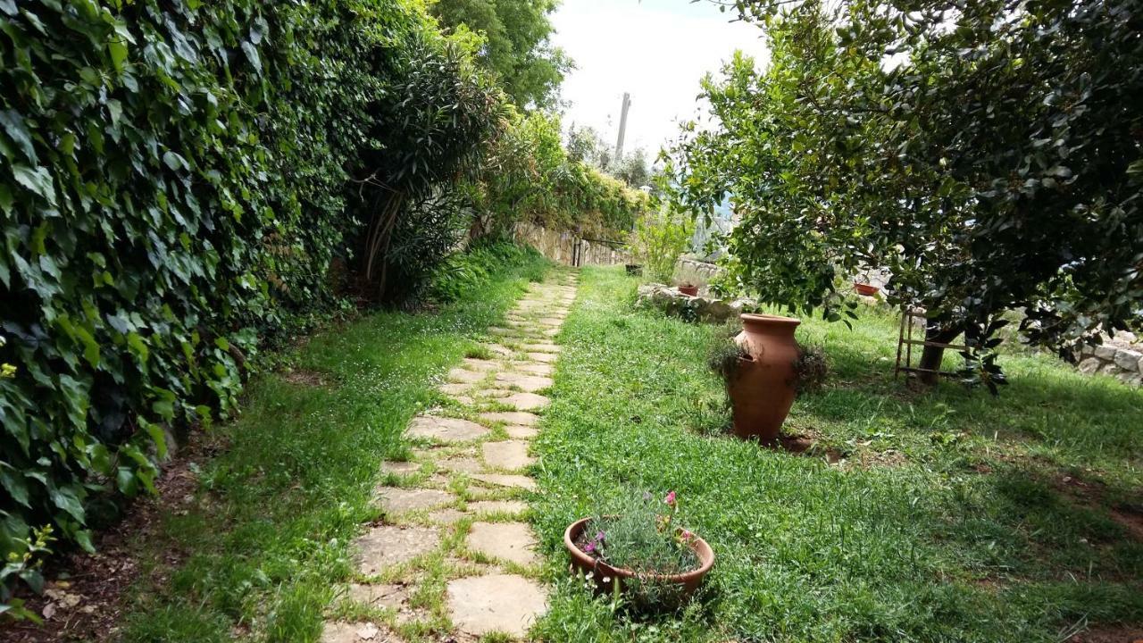 B&B La Vecchia Scuola Sonnino Kültér fotó